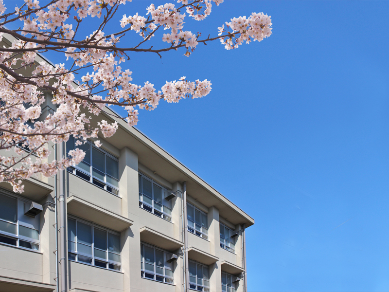 学校と桜